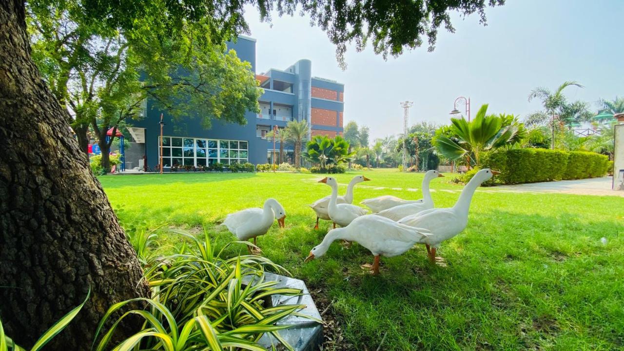 Krishna Riverside Resort Vasad Exterior foto